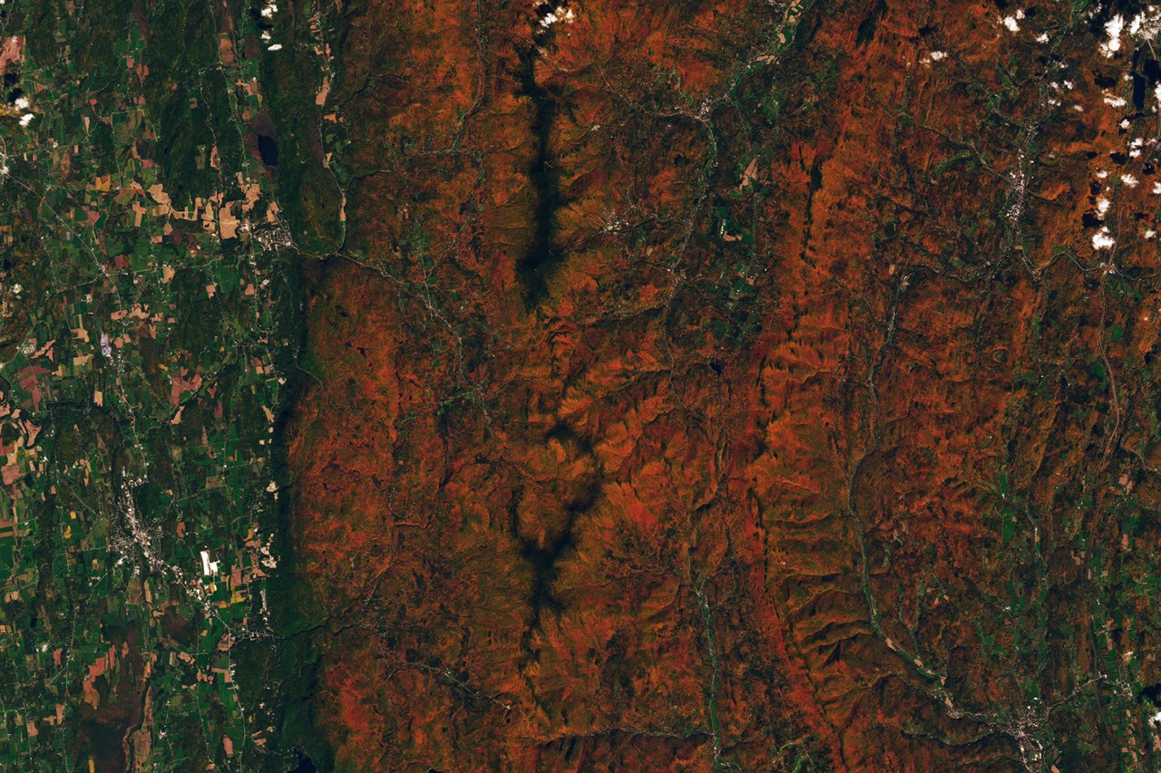 NASA explains how PACE tracks autumn vegetation colours